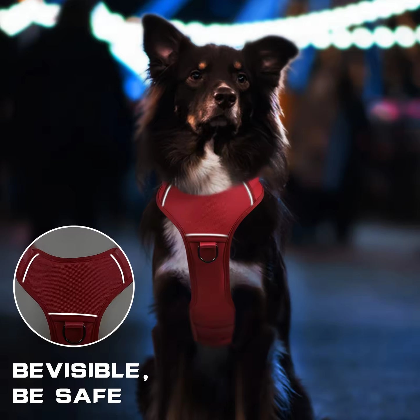 Vest With Dual Handles For Large Dogs